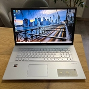 Asus VivoBook Ryzen 3 3250U/12Gb/256Gb SSD/Win11
